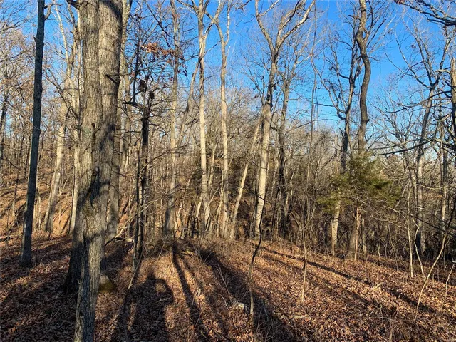 $703,800 | 0 Polston Lane, Marthasville, MO 63357