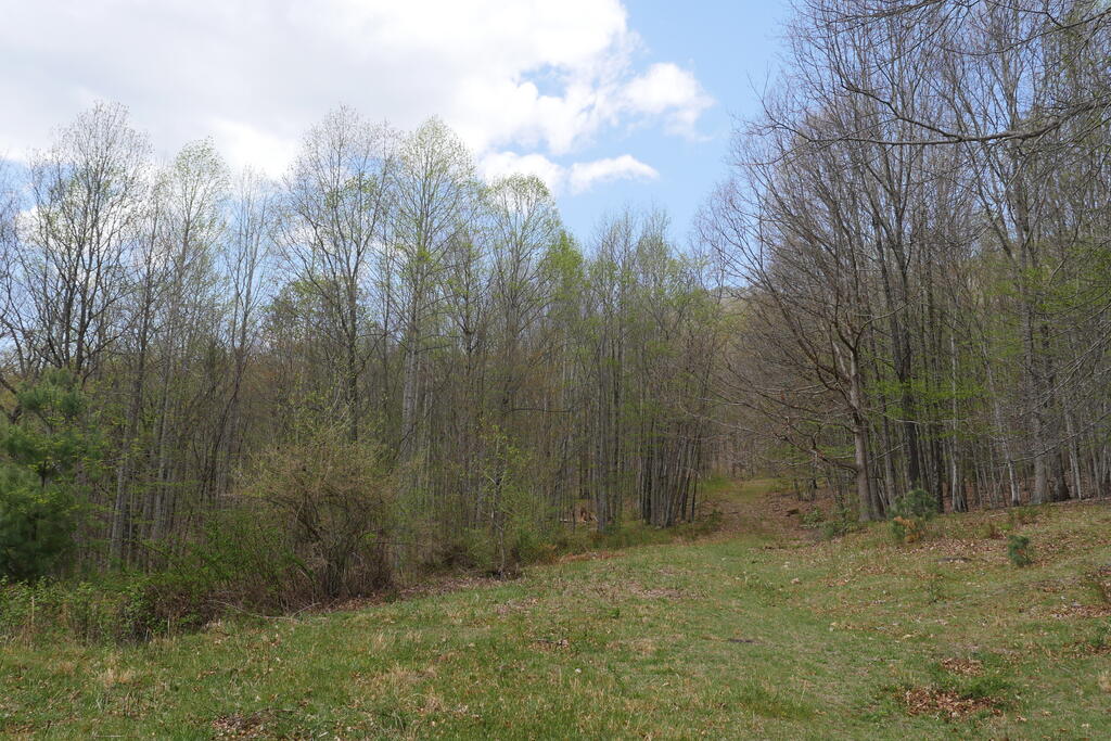 4020 Freestone Valley Road Tannersville, VA 24377 - Photo 83 of 109 Gallery Image 83