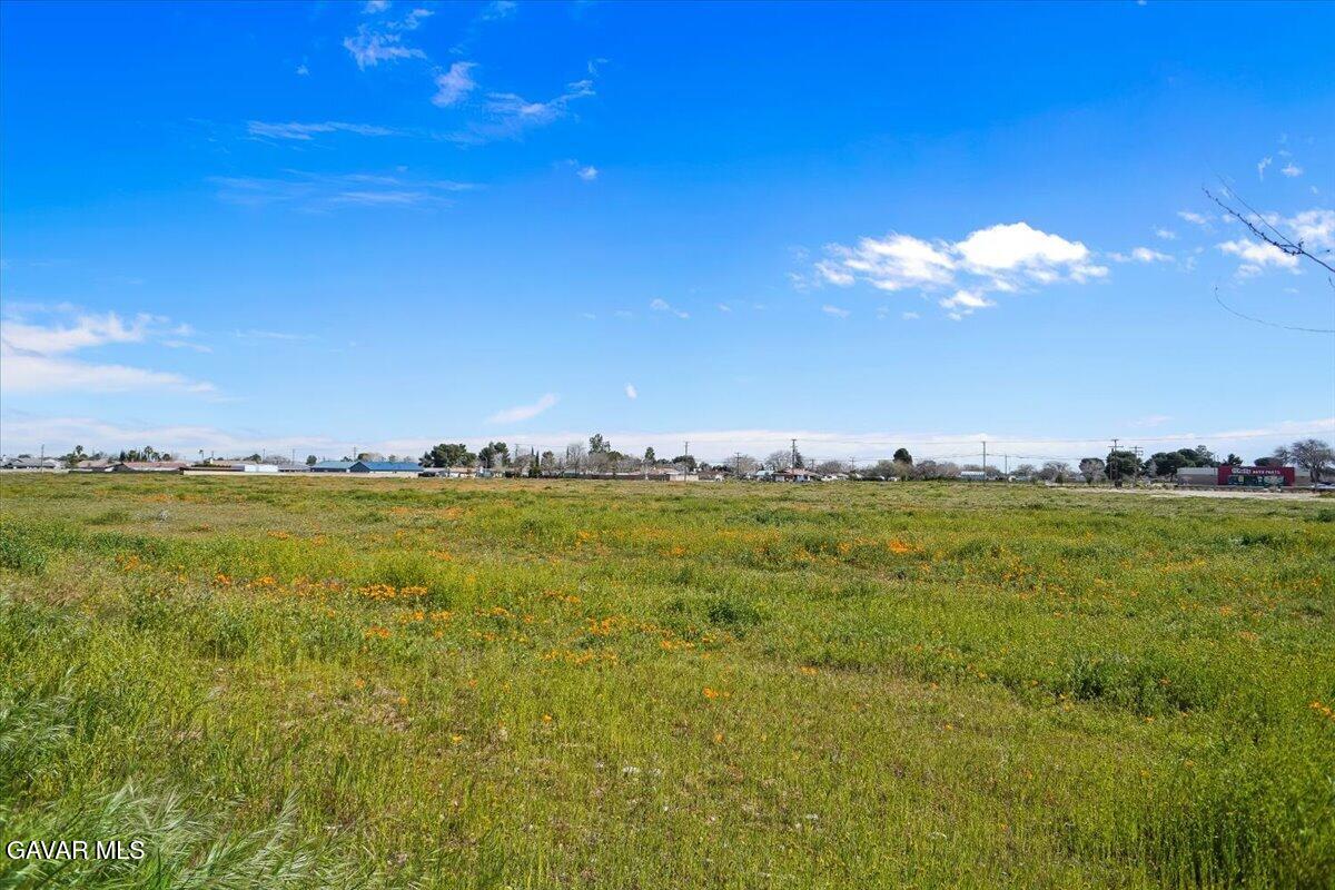 5101 Ruby Court Quartz Hill, CA 93536 - Photo 22 of 24 23-From Backyard Wall View East