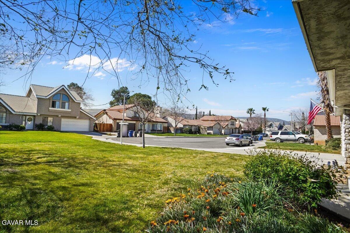 5101 Ruby Court Quartz Hill, CA 93536 - Photo 23 of 24 24-Frontyard Looking West