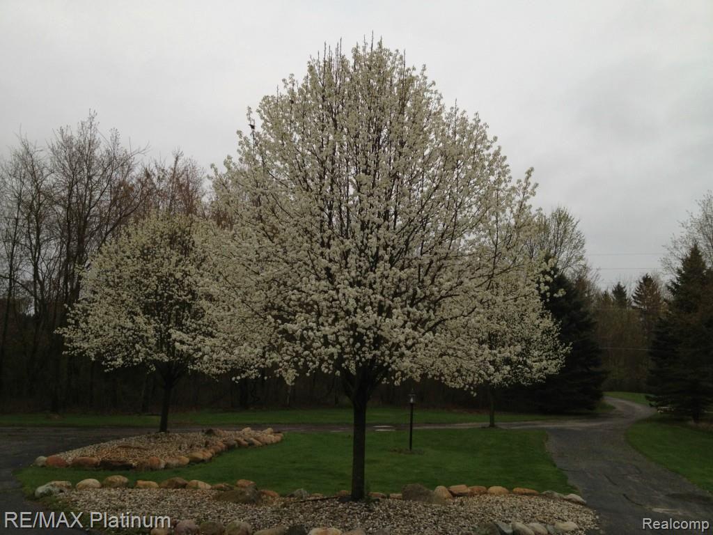 13711 Commerce Road Milford, MI 48380 - Photo 42 of 52 IMG_0216.jpg