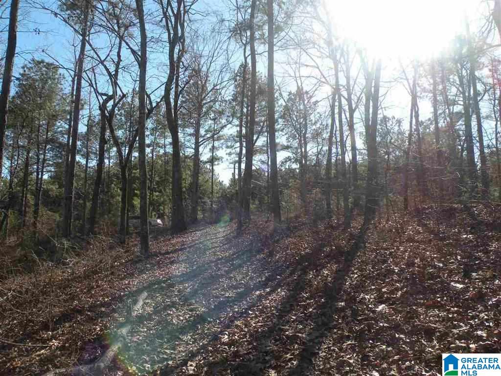 Castaway Road Sylacauga, AL 35151 - Photo 17 of 28