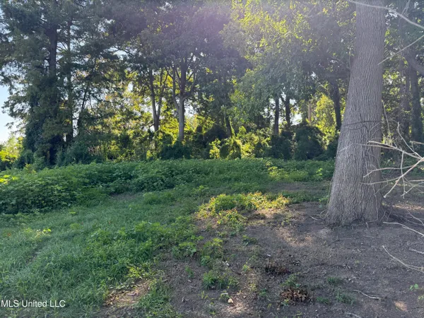 $30,000 | Deer Park Road, Vidalia, LA 71373