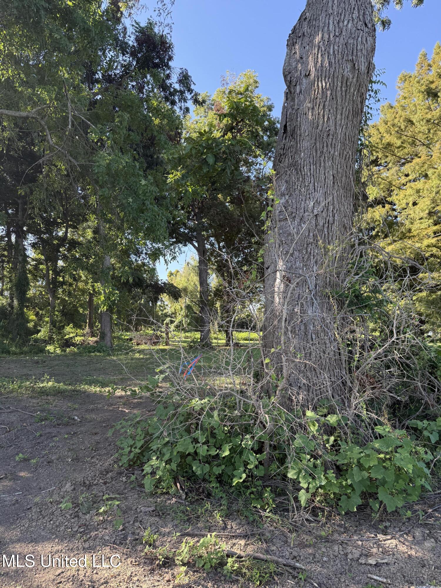 Deer Park Road Vidalia, LA 71373 - Photo 12 of 21 IMG_0339