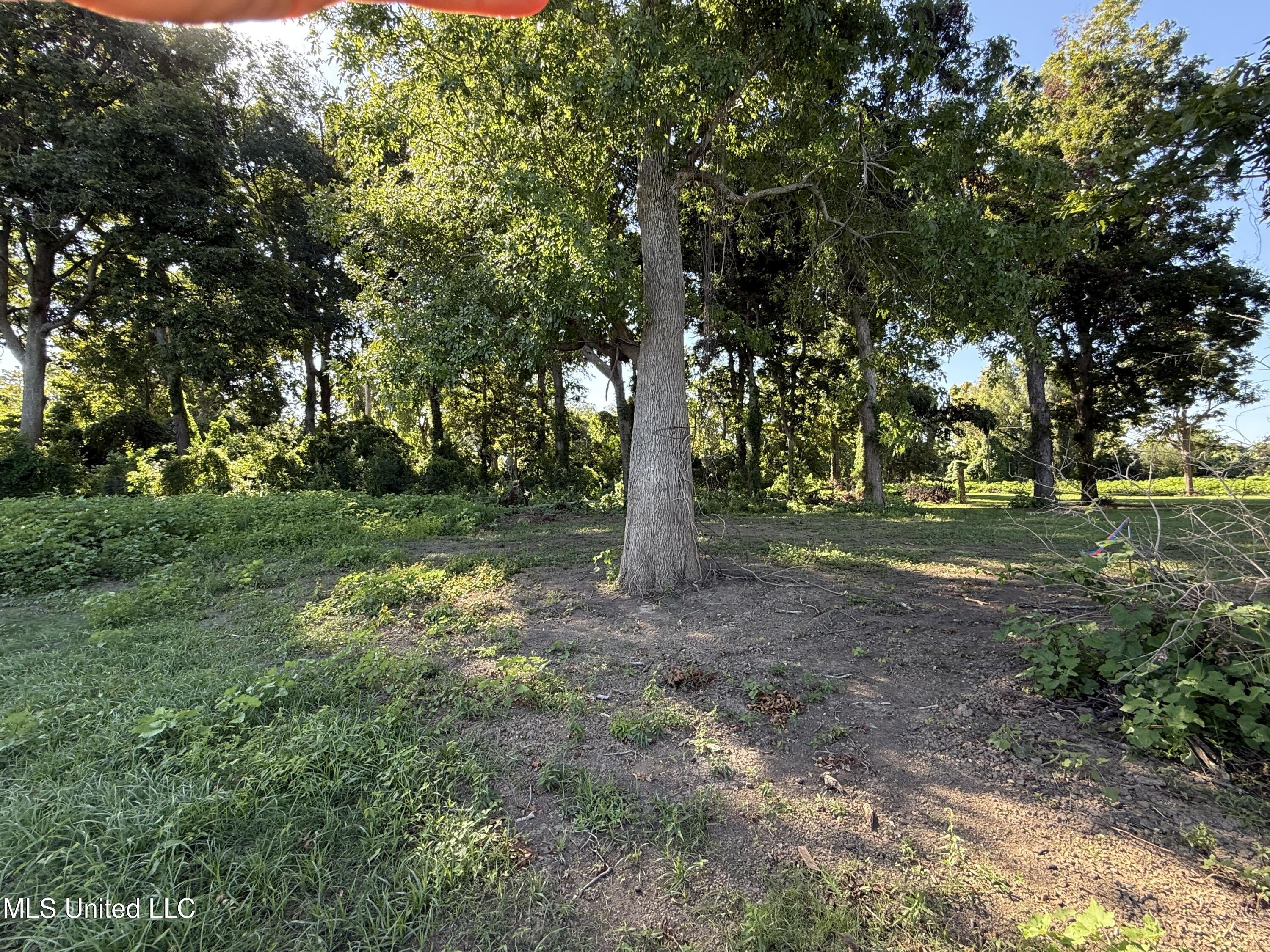 Deer Park Road Vidalia, LA 71373 - Photo 13 of 21 IMG_0340