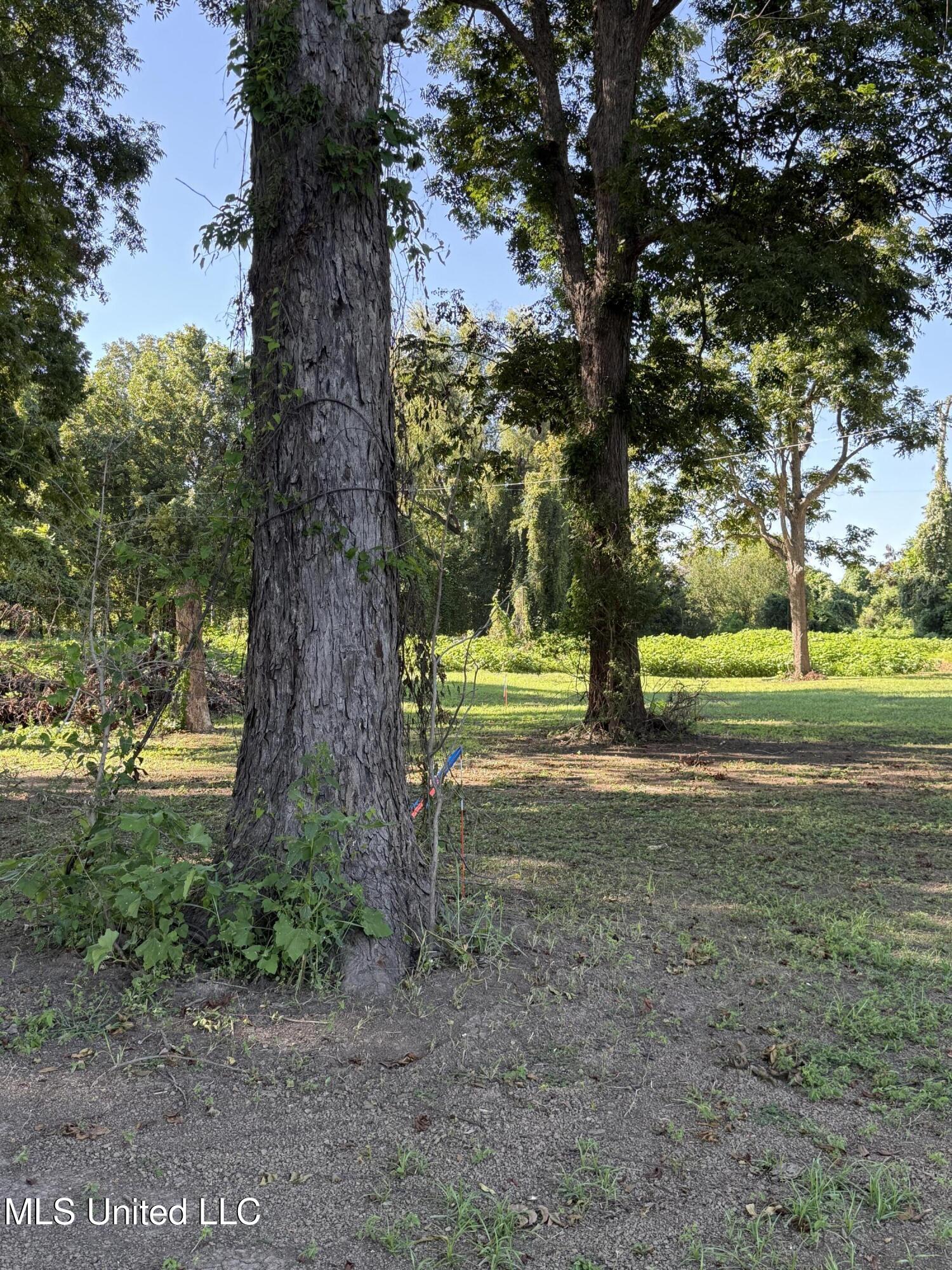 Deer Park Road Vidalia, LA 71373 - Photo 14 of 21 IMG_0342