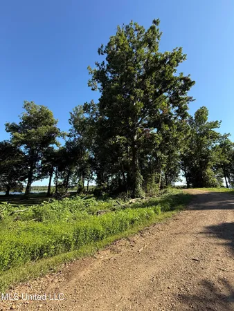 $30,000 | Deer Park Road, Vidalia, LA 71373