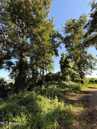 $30,000 | Deer Park Road, Vidalia, LA 71373