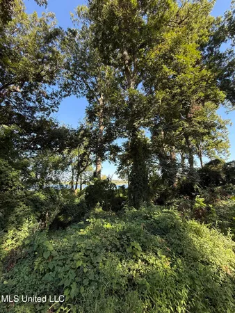 $30,000 | Deer Park Road, Vidalia, LA 71373