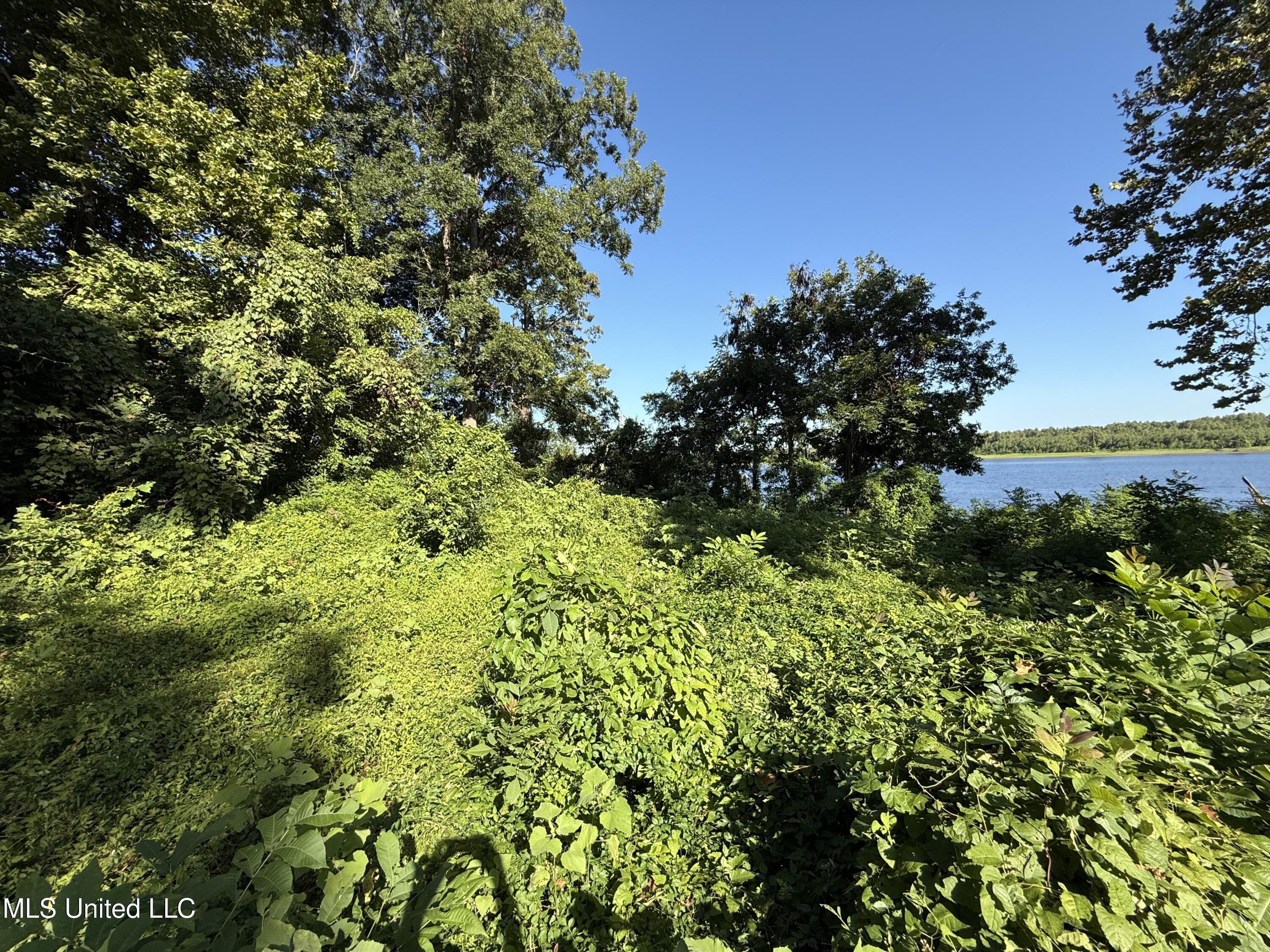 Deer Park Road Vidalia, LA 71373 - Photo 20 of 21 IMG_0351