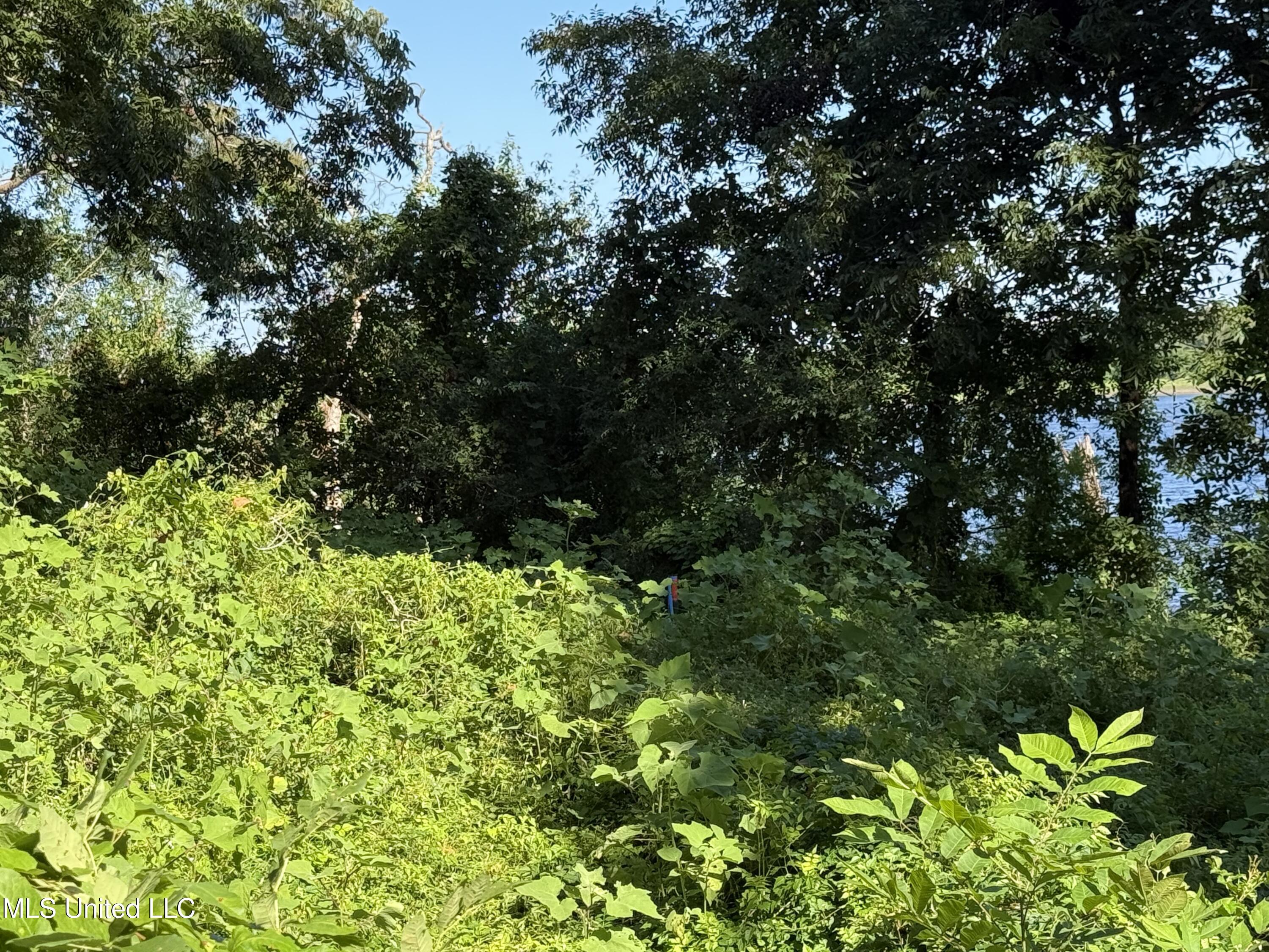 Deer Park Road Vidalia, LA 71373 - Photo 21 of 21 IMG_0352