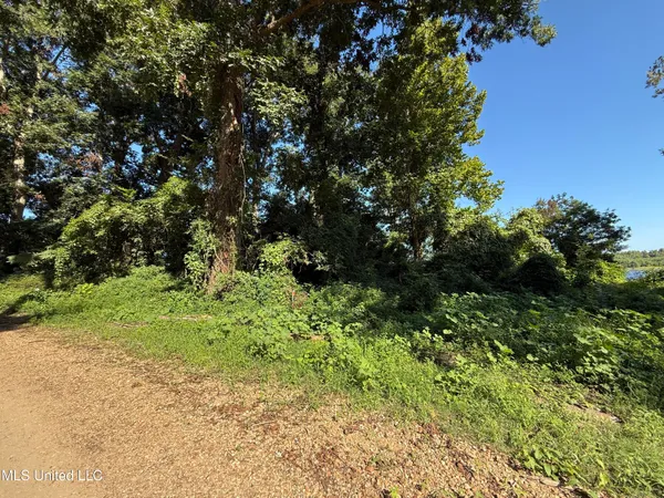 $30,000 | Deer Park Road, Vidalia, LA 71373