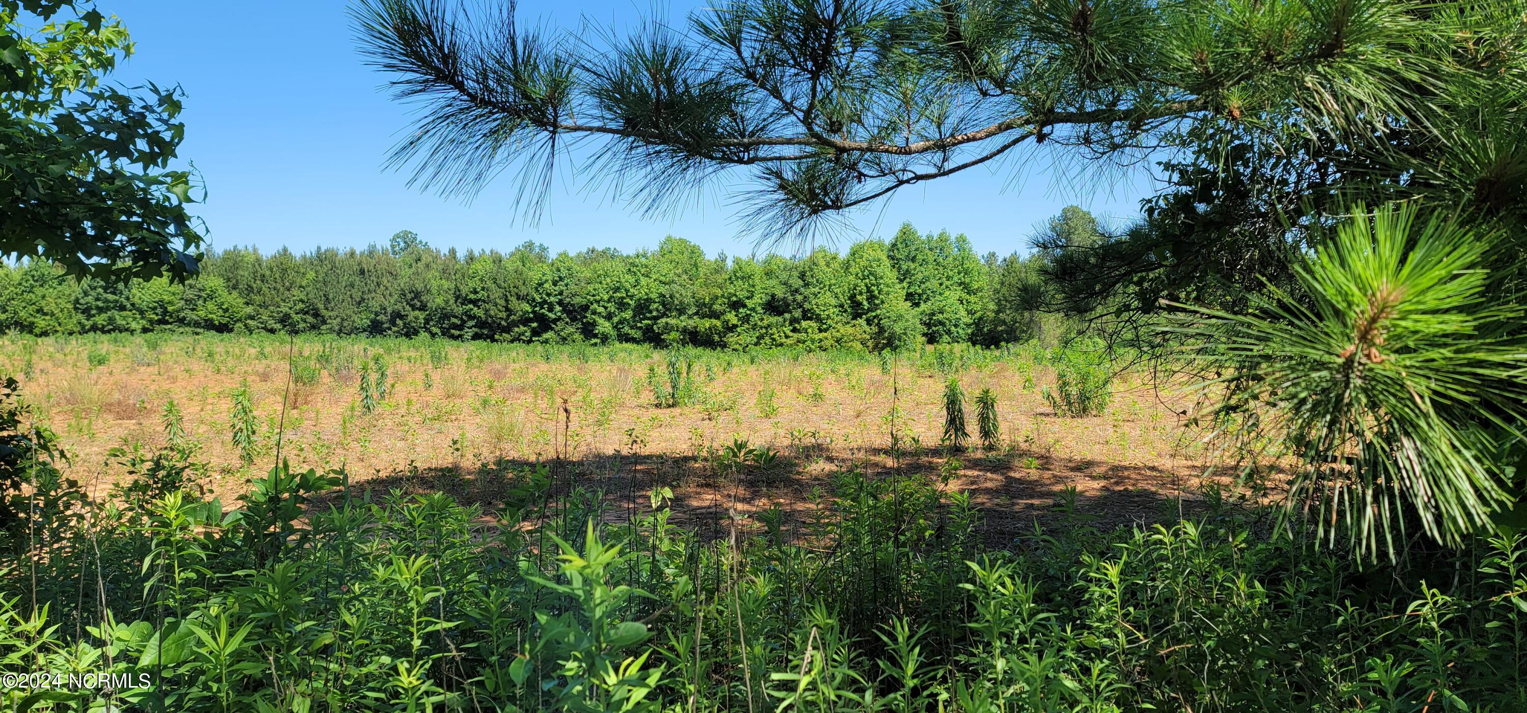 Lot 2 Savage Road Spring Hope, NC 27882 - Photo 1 of 4 Street View