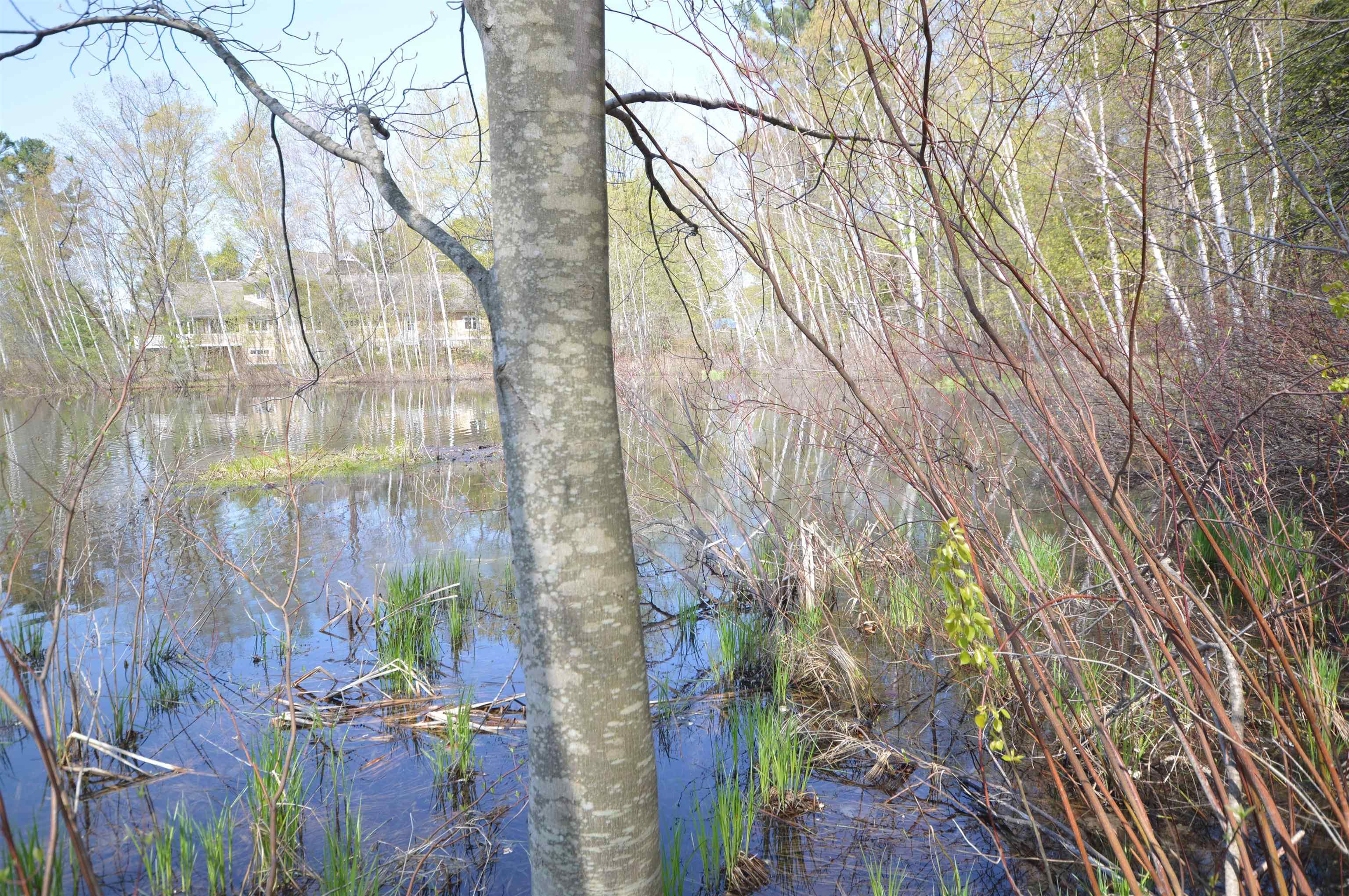 0 North East Silver Lake Road Traverse City, MI 49685 - Photo 22 of 27