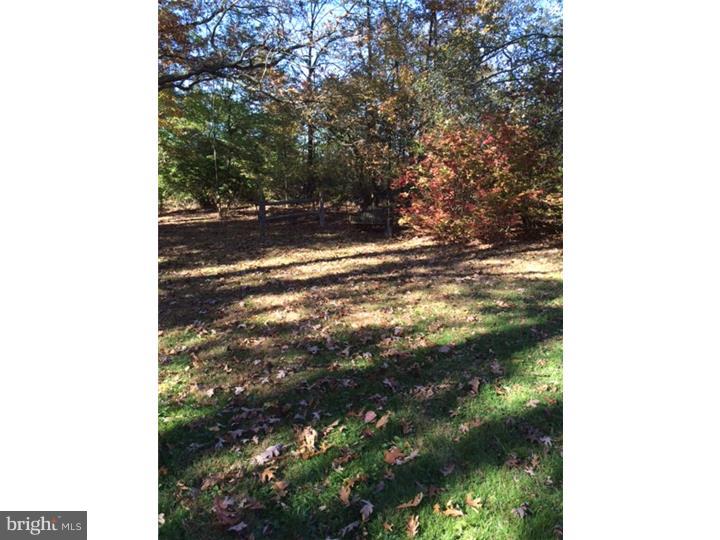 512 Twinbrook Road Perkasie, PA 18944 - Photo 11 of 17