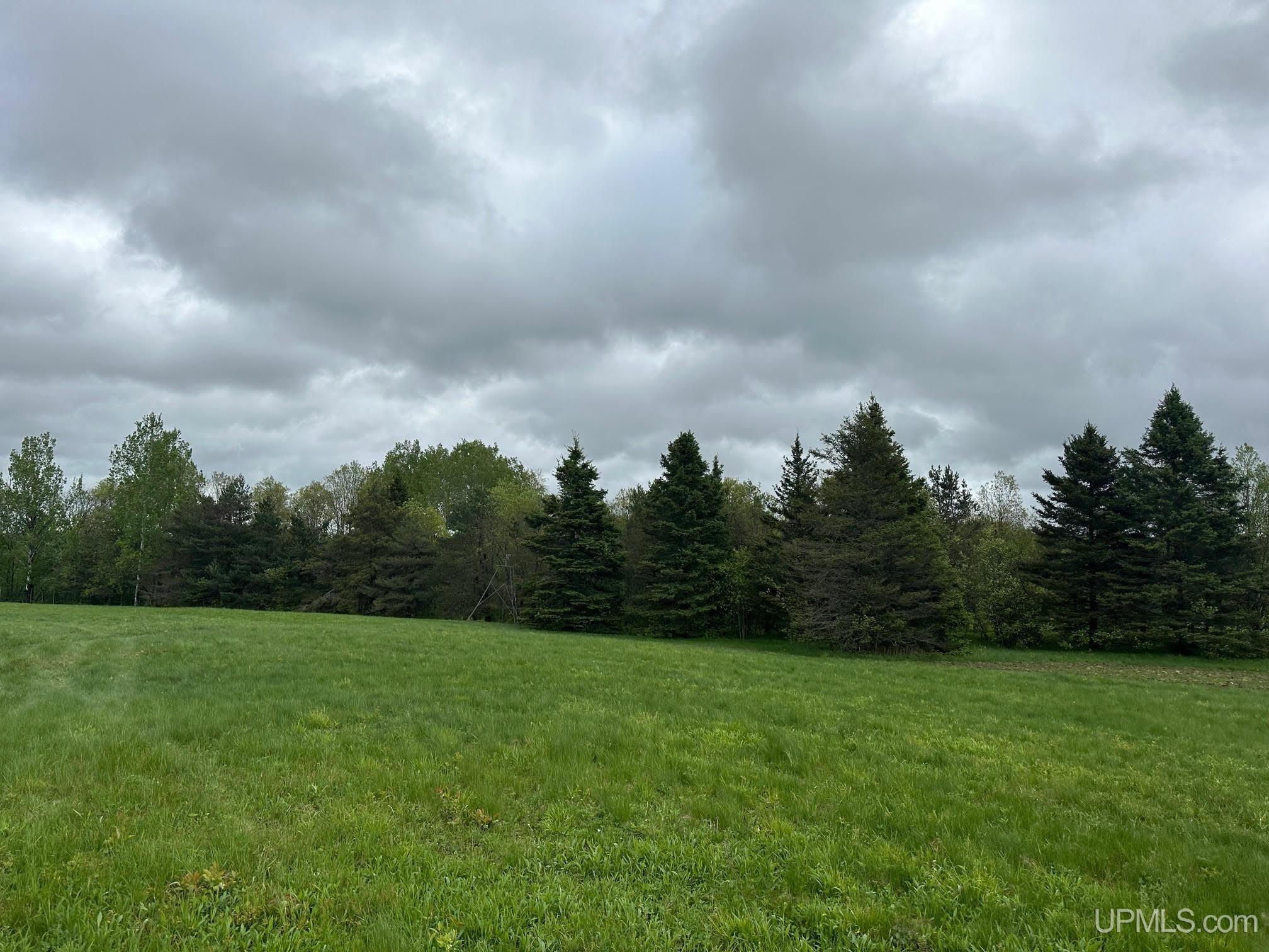 1390 North Co Road Skandia, MI 49885 - Photo 12 of 22