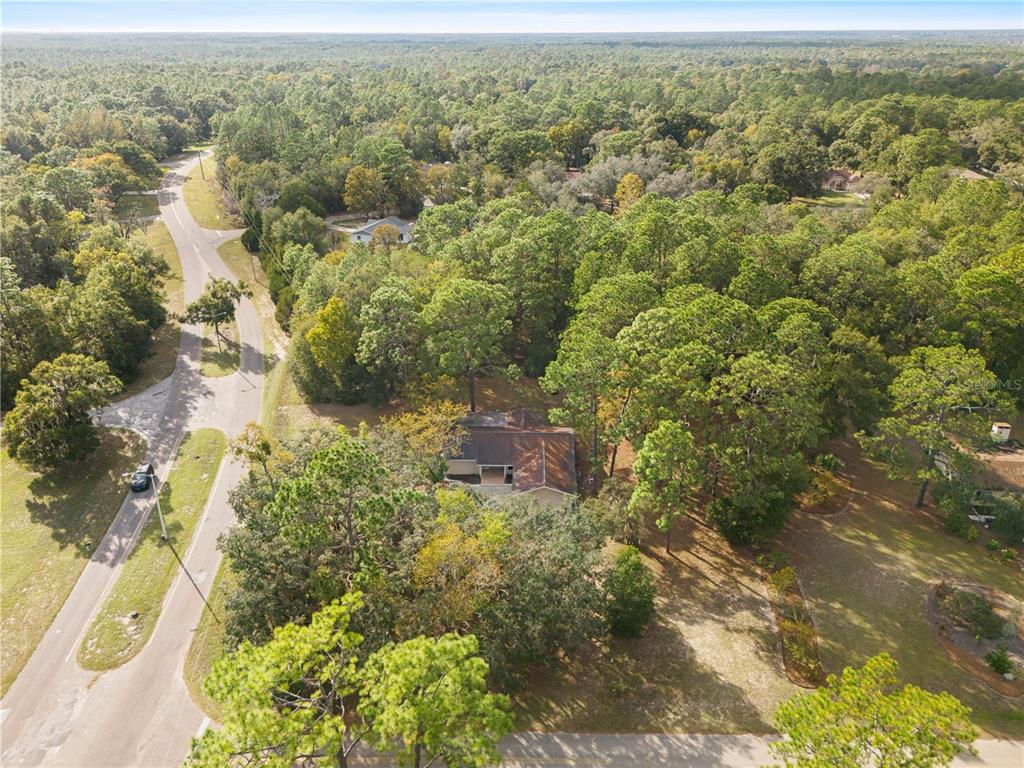 20045 Southwest 88th Place Road Dunnellon, FL 34431 - Photo 38 of 53 an aerial view of residential house with outdoor space and trees all around