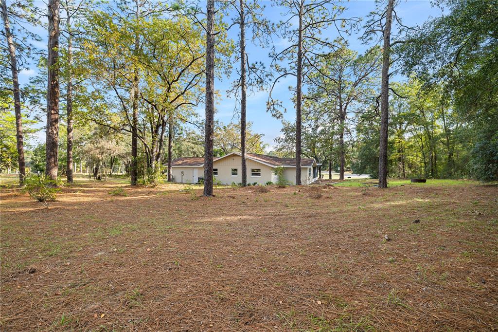 20045 Southwest 88th Place Road Dunnellon, FL 34431 - Photo 46 of 53 a view of road with trees