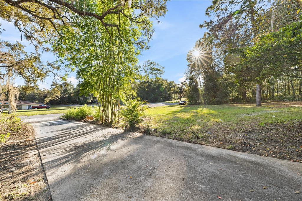 20045 Southwest 88th Place Road Dunnellon, FL 34431 - Photo 50 of 53 a view of a yard with plants and trees