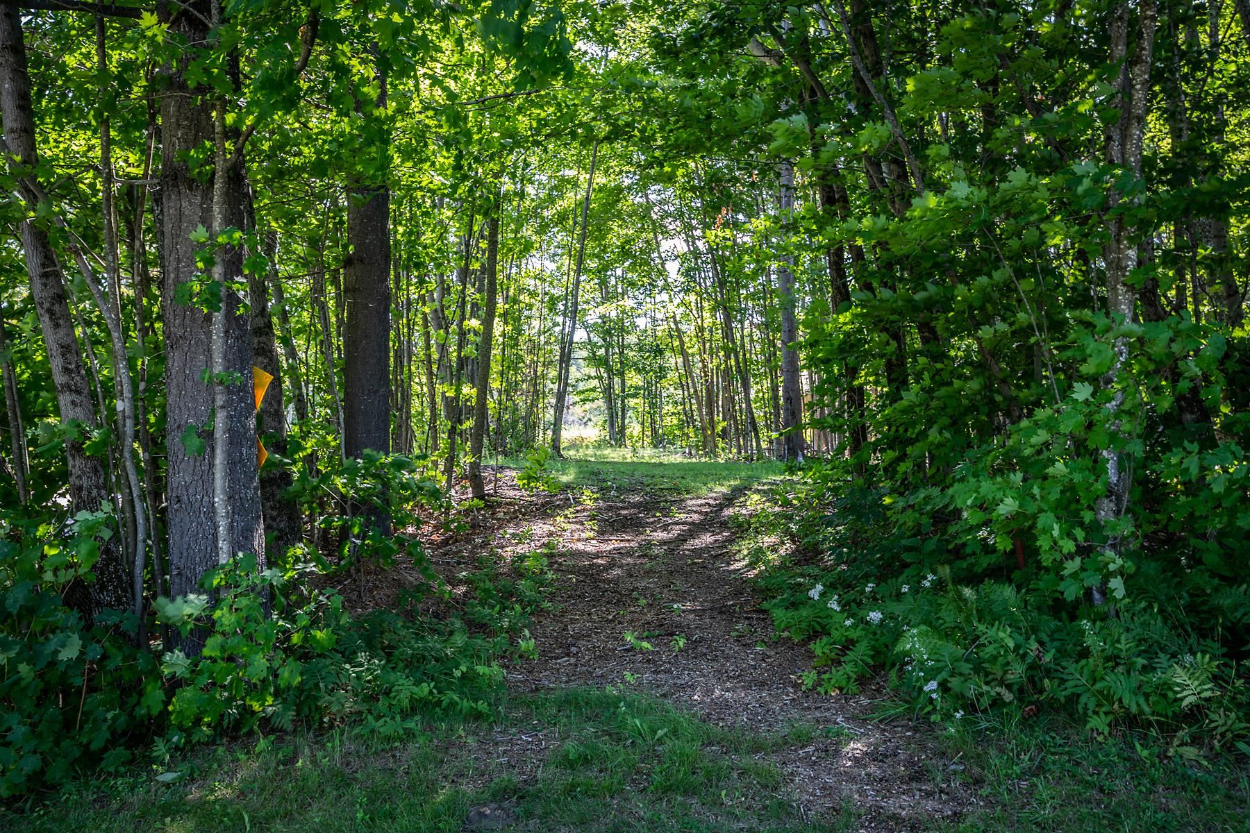 566 Glebe Mountain Road Windham, VT 05359 - Photo 39 of 40