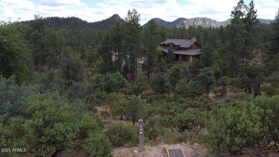 3005 East Arrow Point, Unit 238 Payson, AZ 85541 - Photo 8 of 11 20220623231307541427000000-o