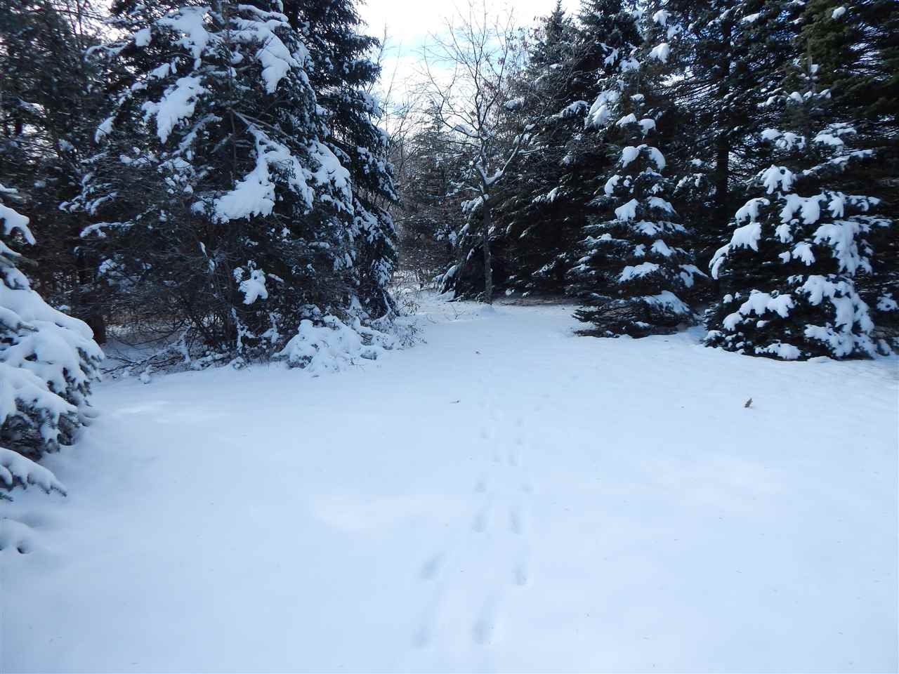 6 W Road Rye, NH 03870 - Photo 24 of 26
