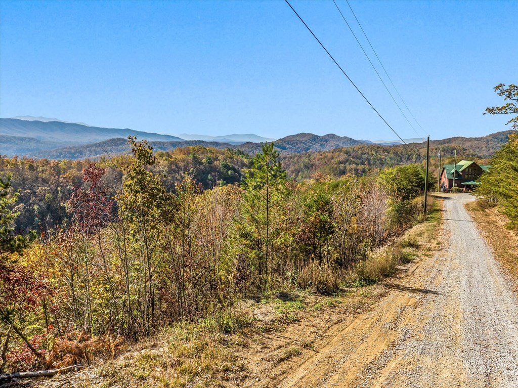 16 Wesley Way Sevierville, TN 37876 - Photo 19 of 22 Gallery Image 19