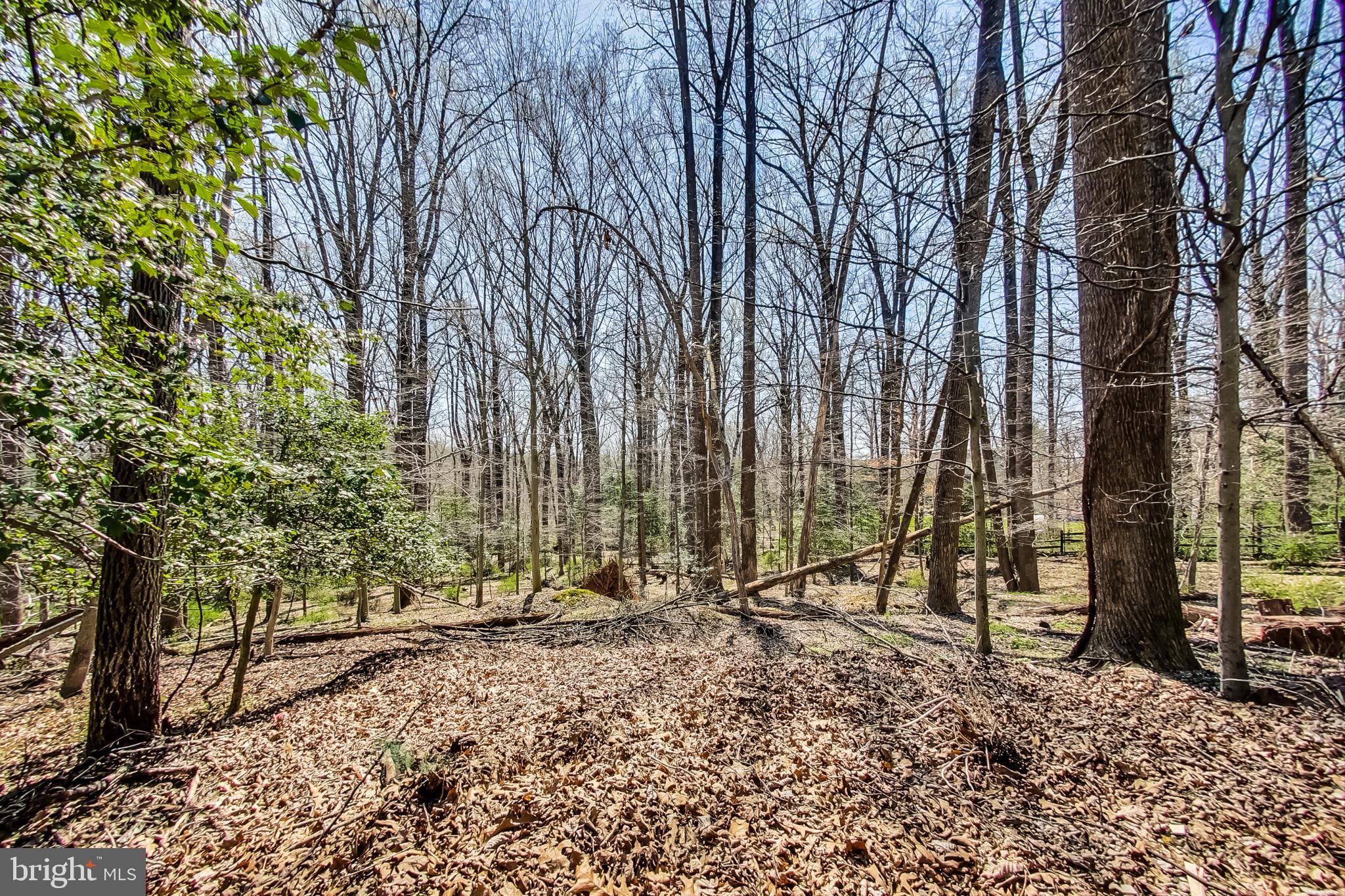 12009 Wetherfield Lane Potomac, MD 20854 - Photo 78 of 86 Enormous 21 acre lot!!
