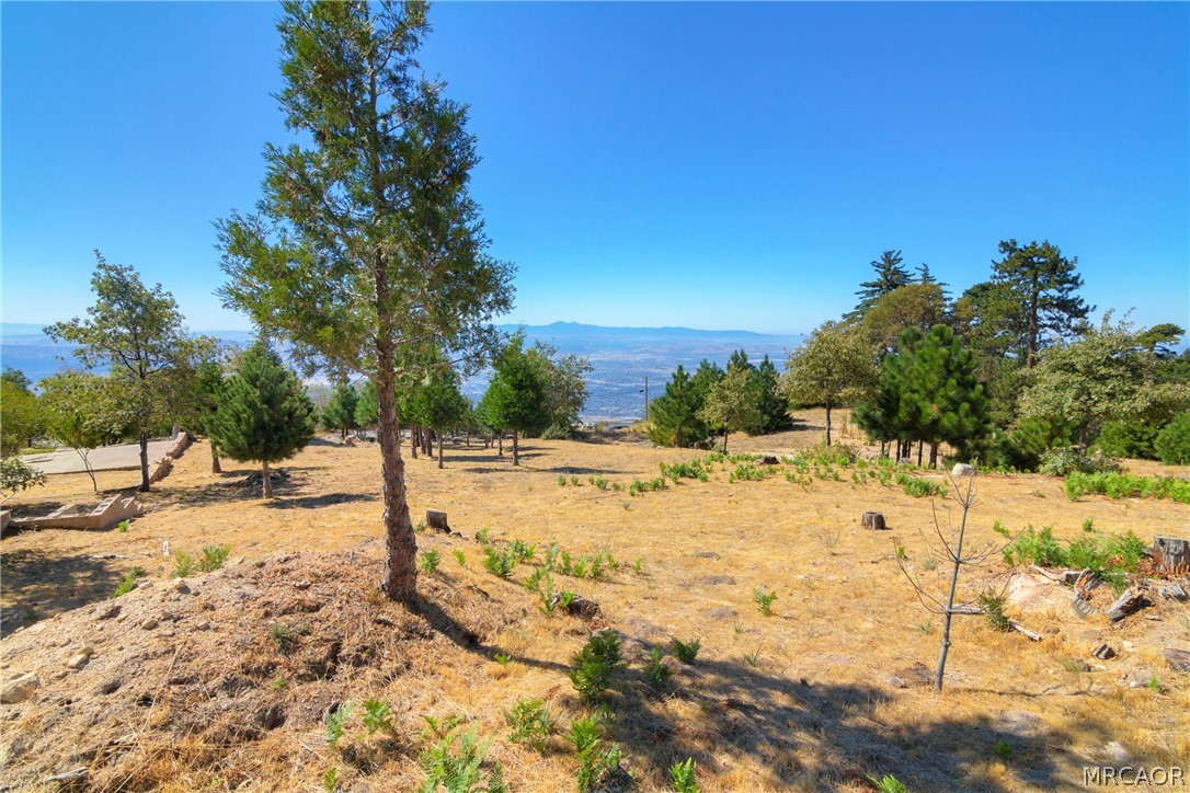 26262 Highway 18 Rimforest, CA 92378 - Photo 11 of 24