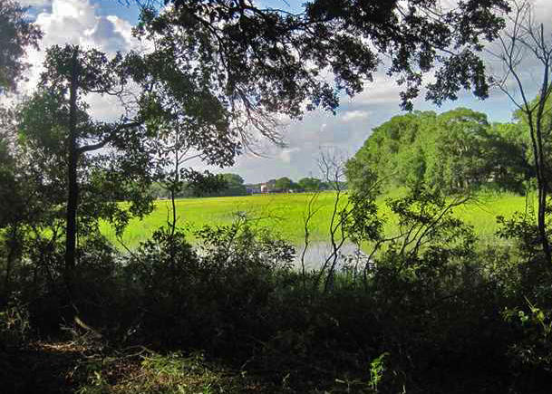 1154 Fort Lamar Road Charleston, SC 29412 - Photo 2 of 10 0 Fort Lamar