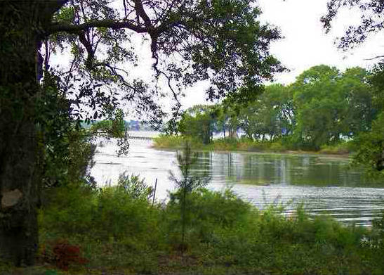 1154 Fort Lamar Road Charleston, SC 29412 - Photo 3 of 10 High Tide