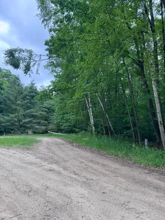 $12,900 | 114 Bluff Drive, Leroy, MI 49655