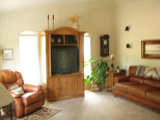 2117 Blue Jay Road Overgaard, AZ 85933 - Photo 2 of 6 Additional Photo