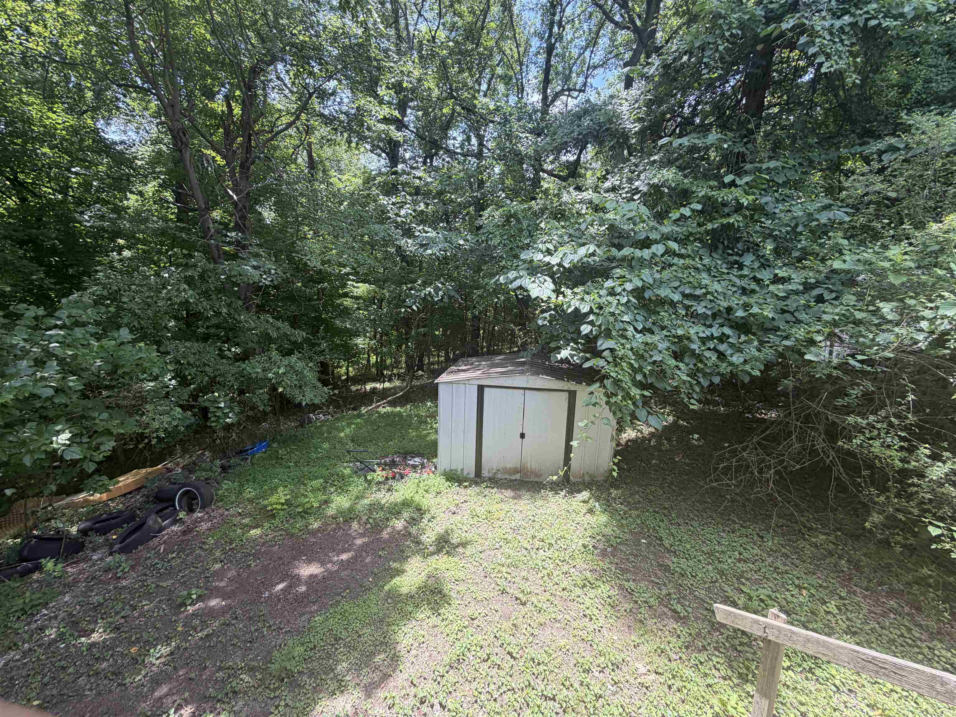 196 Barbee Avenue Ripley, TN 38063 - Photo 4 of 4 Yard