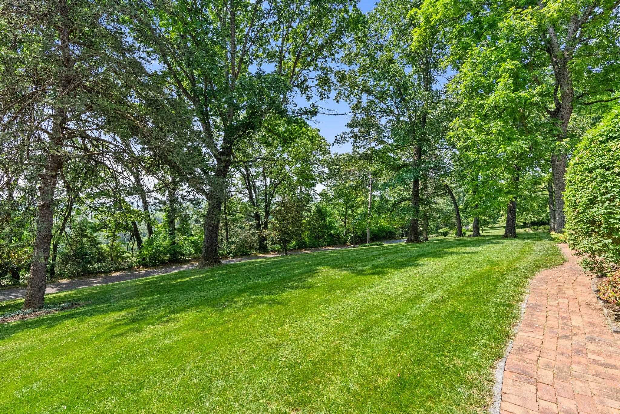 88 Roman Ridge Road Mount Sidney, VA 24467 - Photo 15 of 74 a view of a grassy field with trees