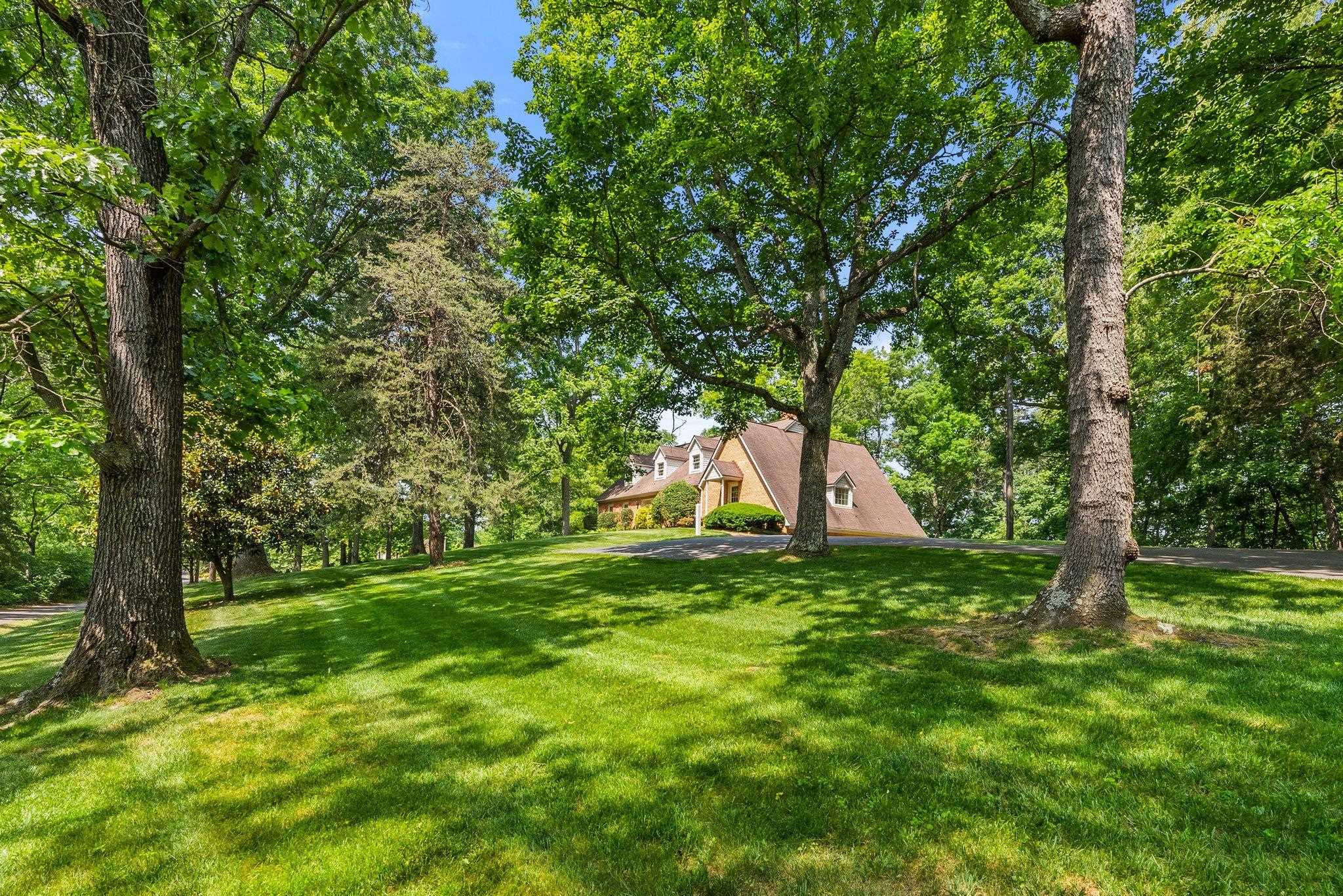 88 Roman Ridge Road Mount Sidney, VA 24467 - Photo 4 of 74 a backyard of a house with lots of green space