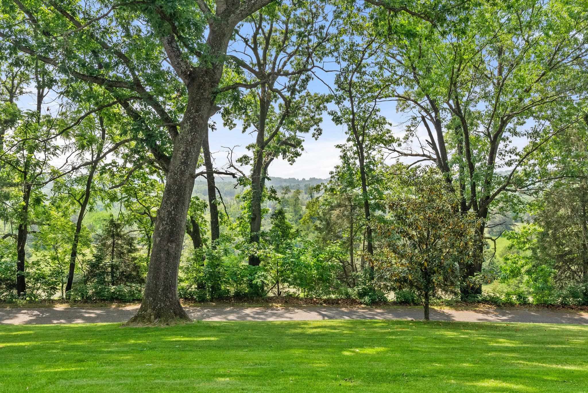 88 Roman Ridge Road Mount Sidney, VA 24467 - Photo 5 of 74 a view of outdoor space with a garden