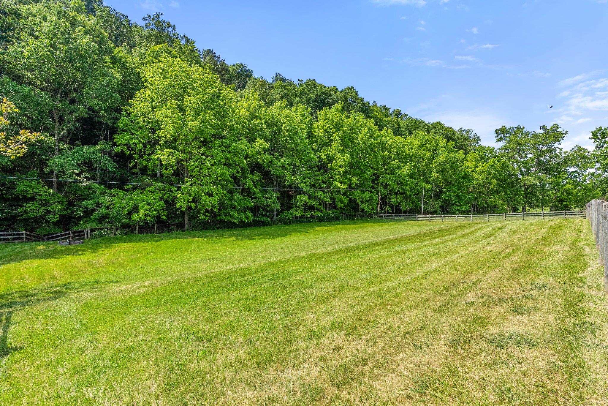 88 Roman Ridge Road Mount Sidney, VA 24467 - Photo 67 of 74 a view of a field of grass and trees