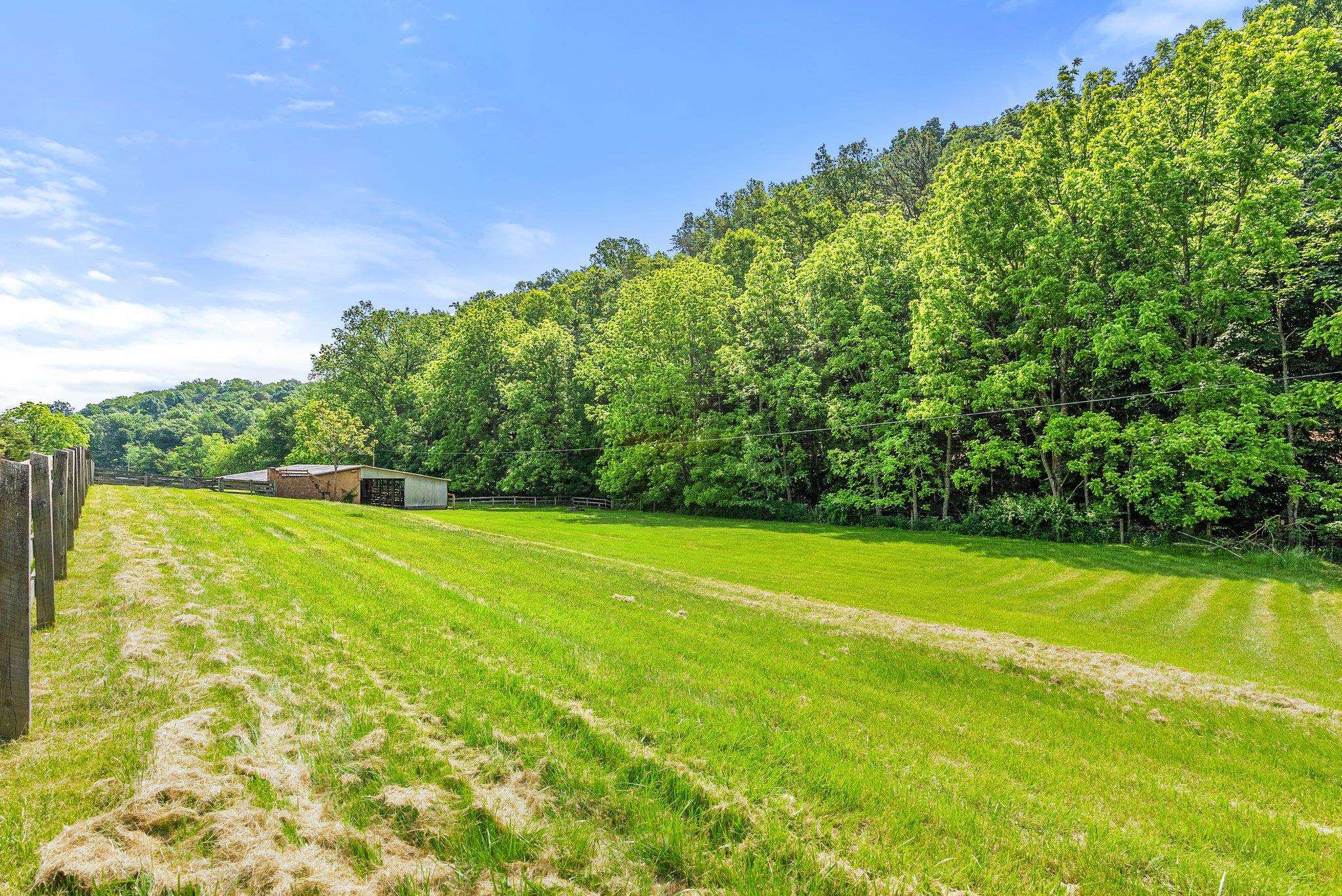 88 Roman Ridge Road Mount Sidney, VA 24467 - Photo 69 of 74 a view of a yard with a trees