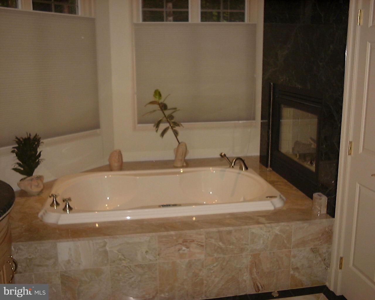 2332 Hidden Brook Road Finksburg, MD 21048 - Photo 17 of 30 Bath (Master)