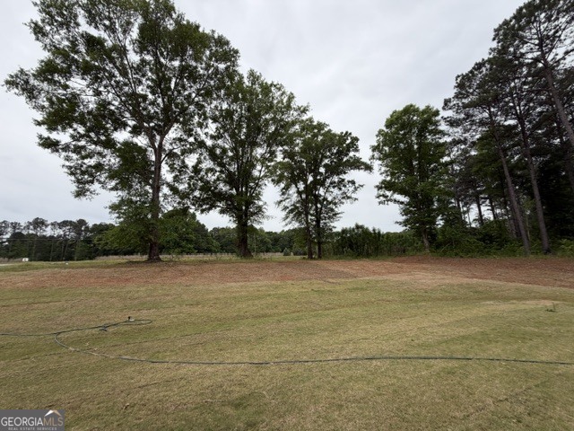 264 Robert Williams Road Greenville, GA 30222 - Photo 21 of 23 a view of an ocean