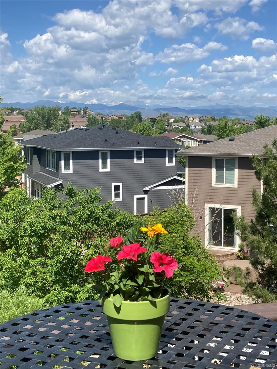 10857 Hickory Ridge Street Highlands Ranch, CO 80126 - Photo 21 of 40 a view of a house with a lot of flower plants