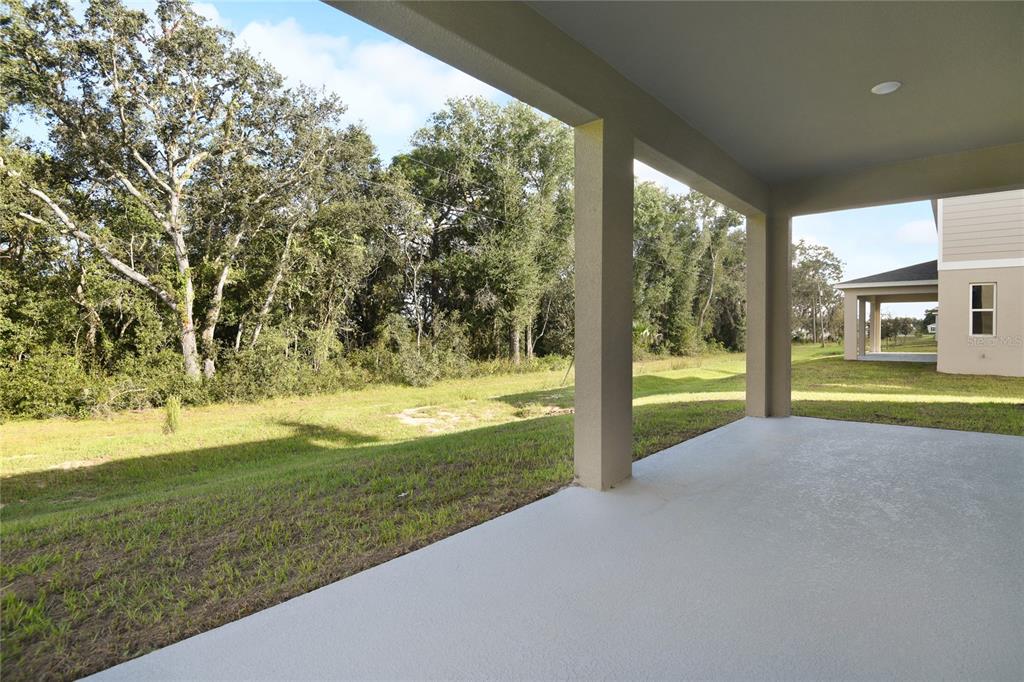 1042 Cloud Rdg Court Mount Dora, FL 32757 - Photo 21 of 21