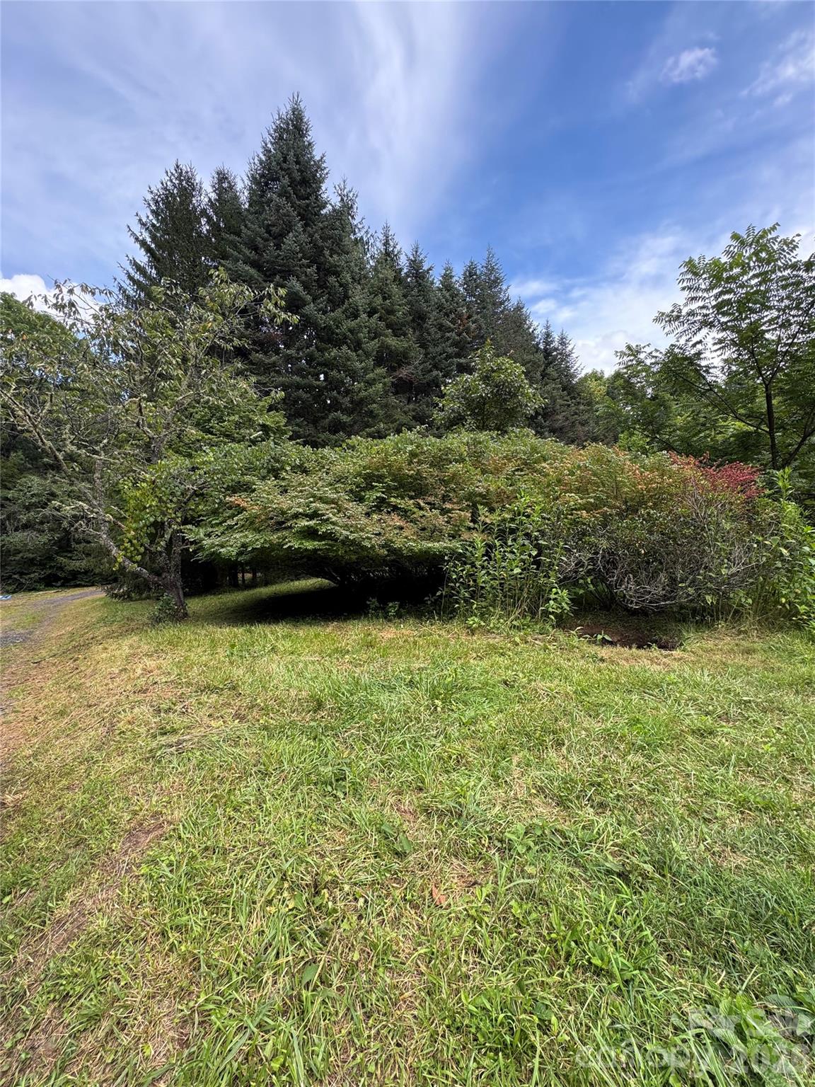 518 Nicholson Cove Road Cullowhee, NC 28723 - Photo 3 of 5 Gallery Image 3