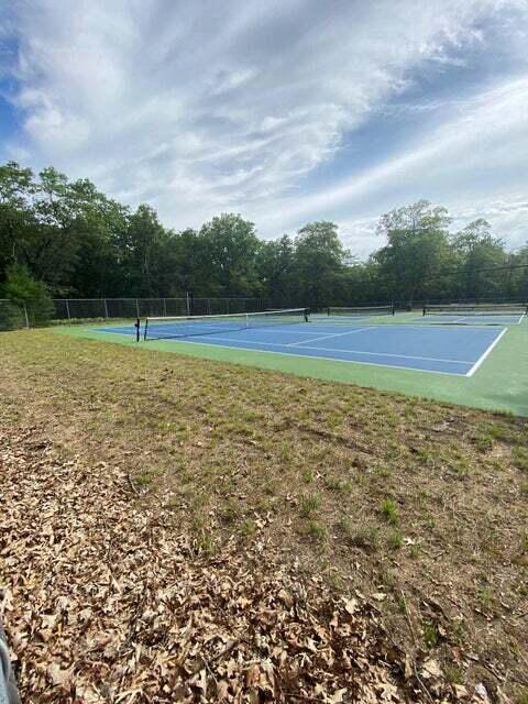 24333 Ranch House Trail Atlanta, MI 49709 - Photo 37 of 50 38