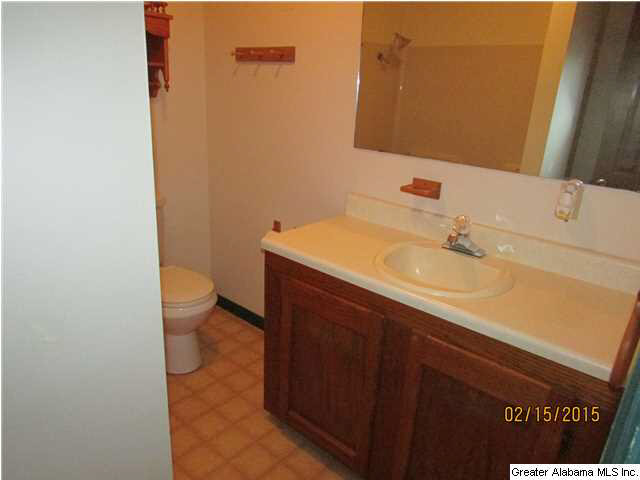169 Landers Road Jacksonville, AL 36265 - Photo 19 of 30
