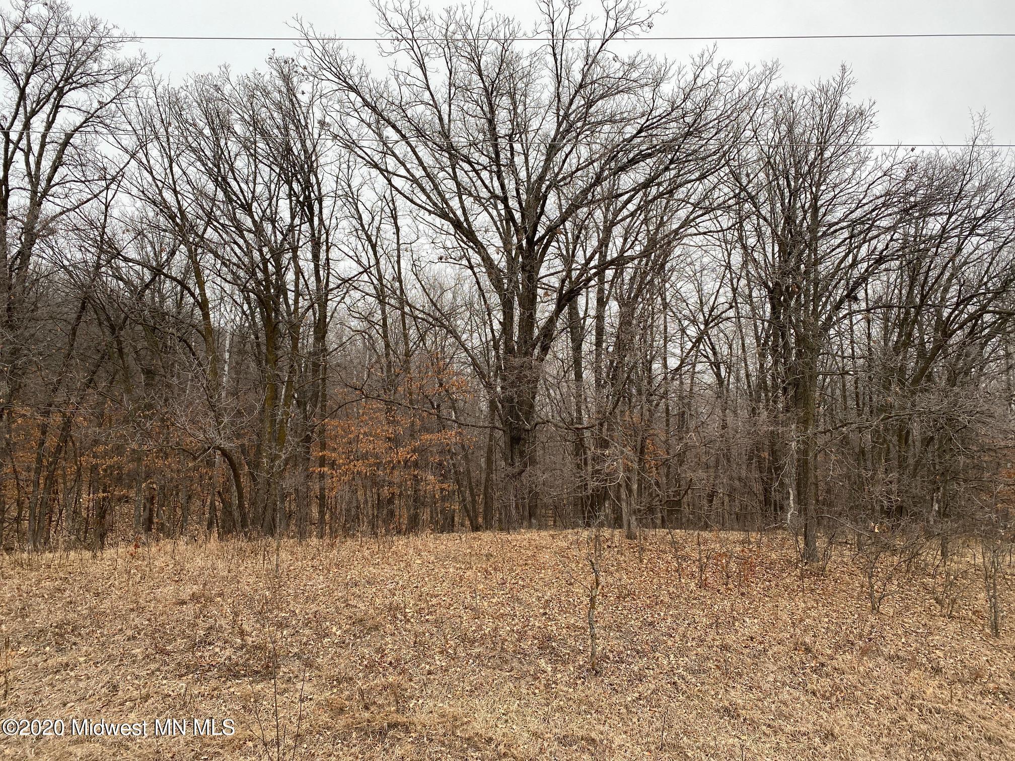 Tbd East Wymer Lake Road Frazee, MN 56544 - Photo 1 of 1 Gallery Image 1
