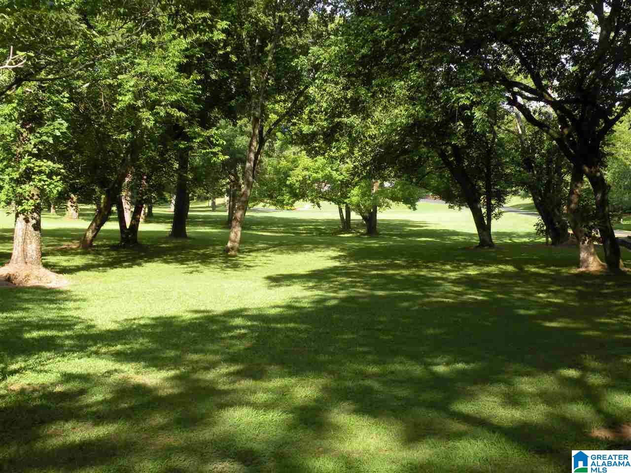 675 Talladega Creek Road Talladega, AL 35160 - Photo 5 of 28