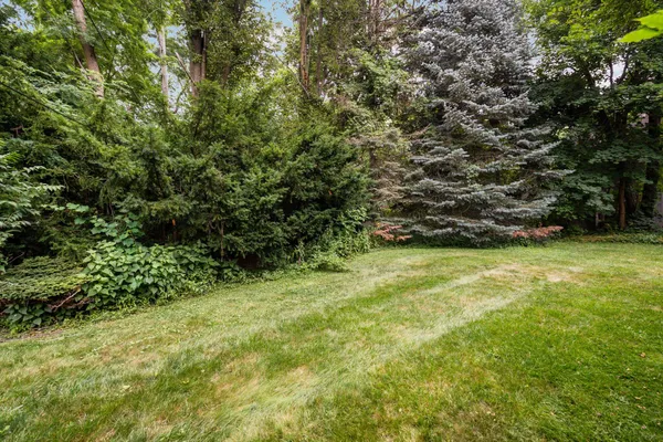 $1,675,000 | 1015 Olivia Avenue, Ann Arbor, MI 48104
