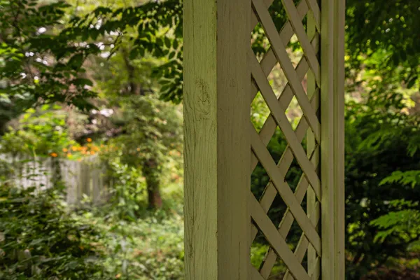 $1,675,000 | 1015 Olivia Avenue, Ann Arbor, MI 48104